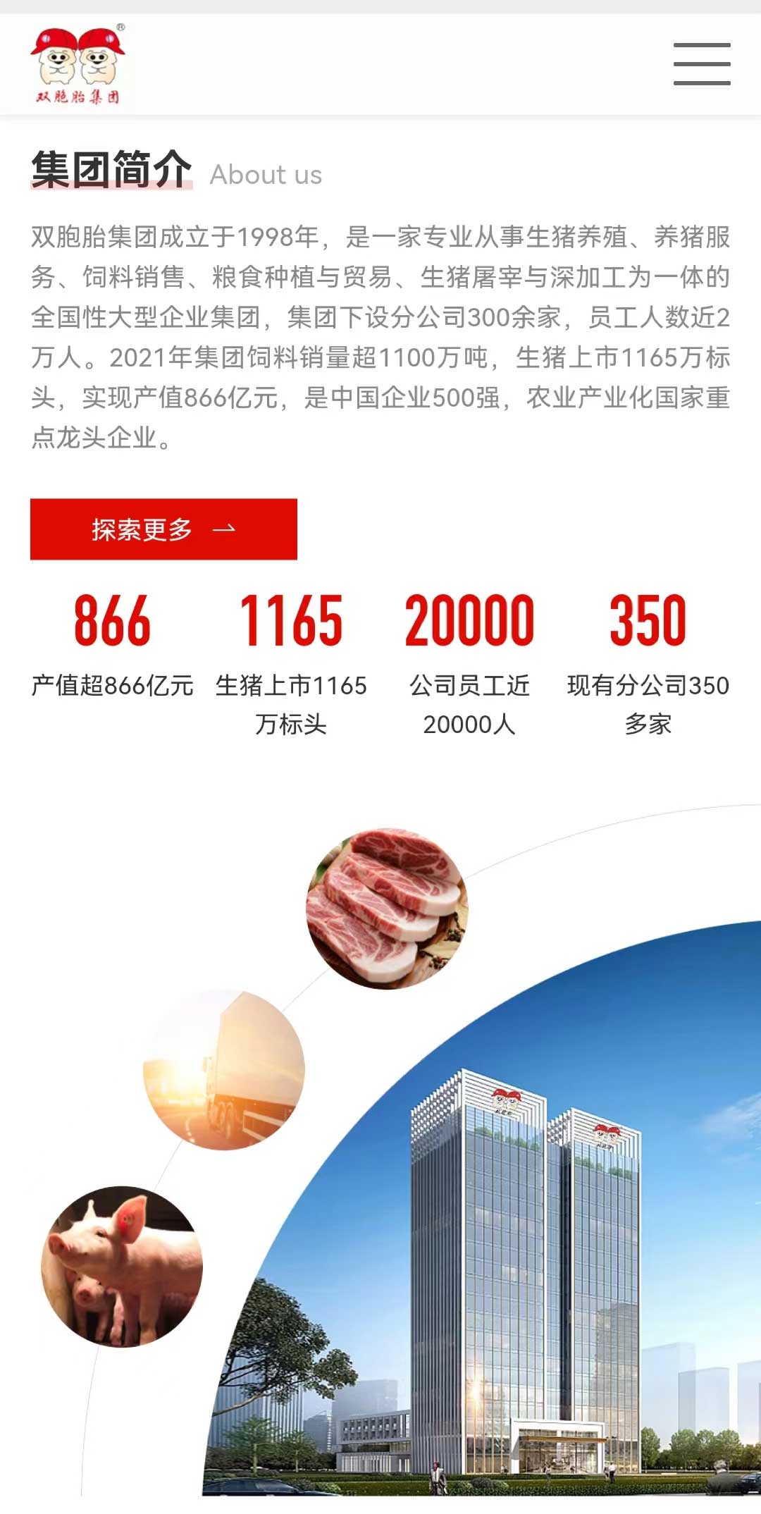 雙胞胎集團官網(wǎng)